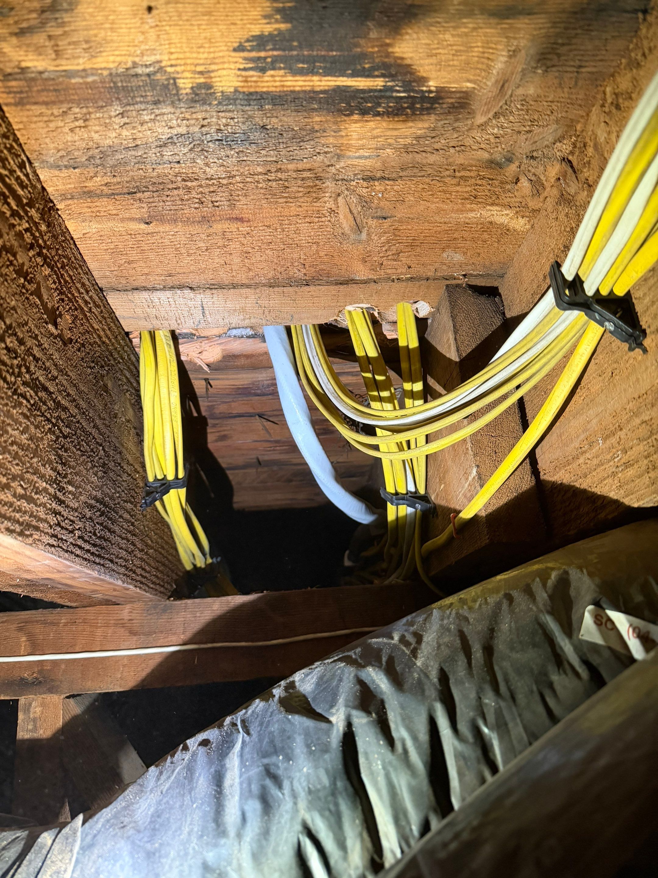 Days 2–4 — rewiring