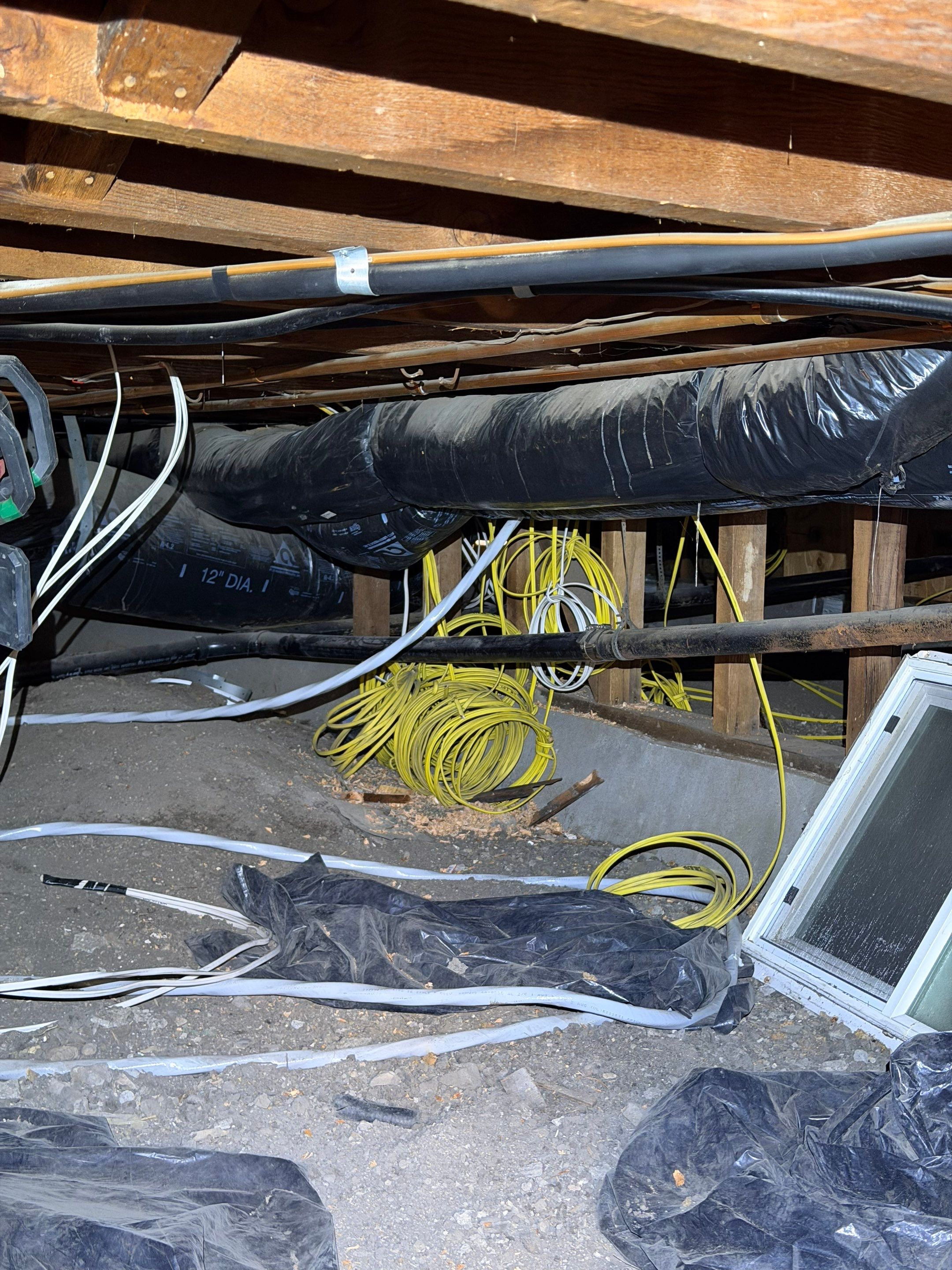 Days 2–4 — rewiring
