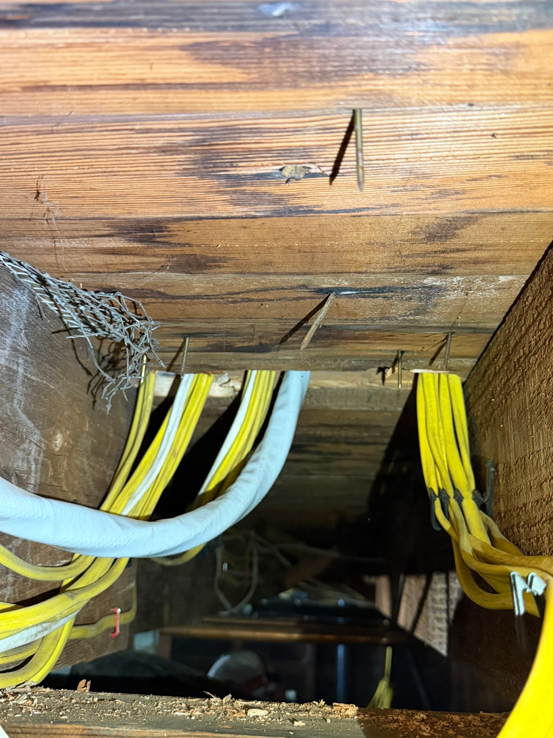 Days 2–4 — rewiring